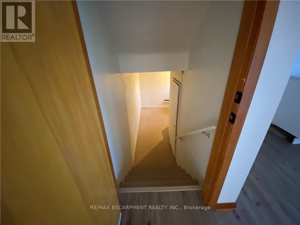 Lower - 300 Knoll Street, Port Colborne (Main Street), Ontario  L3K 5B9 - Photo 11 - X12914062