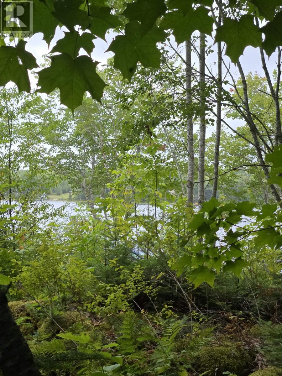 Lot 6 Lochiel Lake (West Side), South Lochaber, Nova Scotia  B2G 2L3 - Photo 2 - 202605182