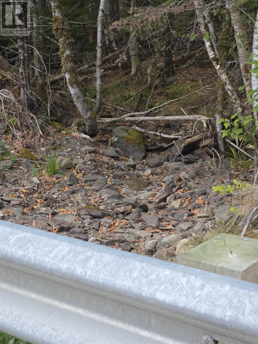 5 Lot 5 Lochiel Lake (West Side), Lochiel Lake, Nova Scotia  B2G 2L3 - Photo 3 - 202605184
