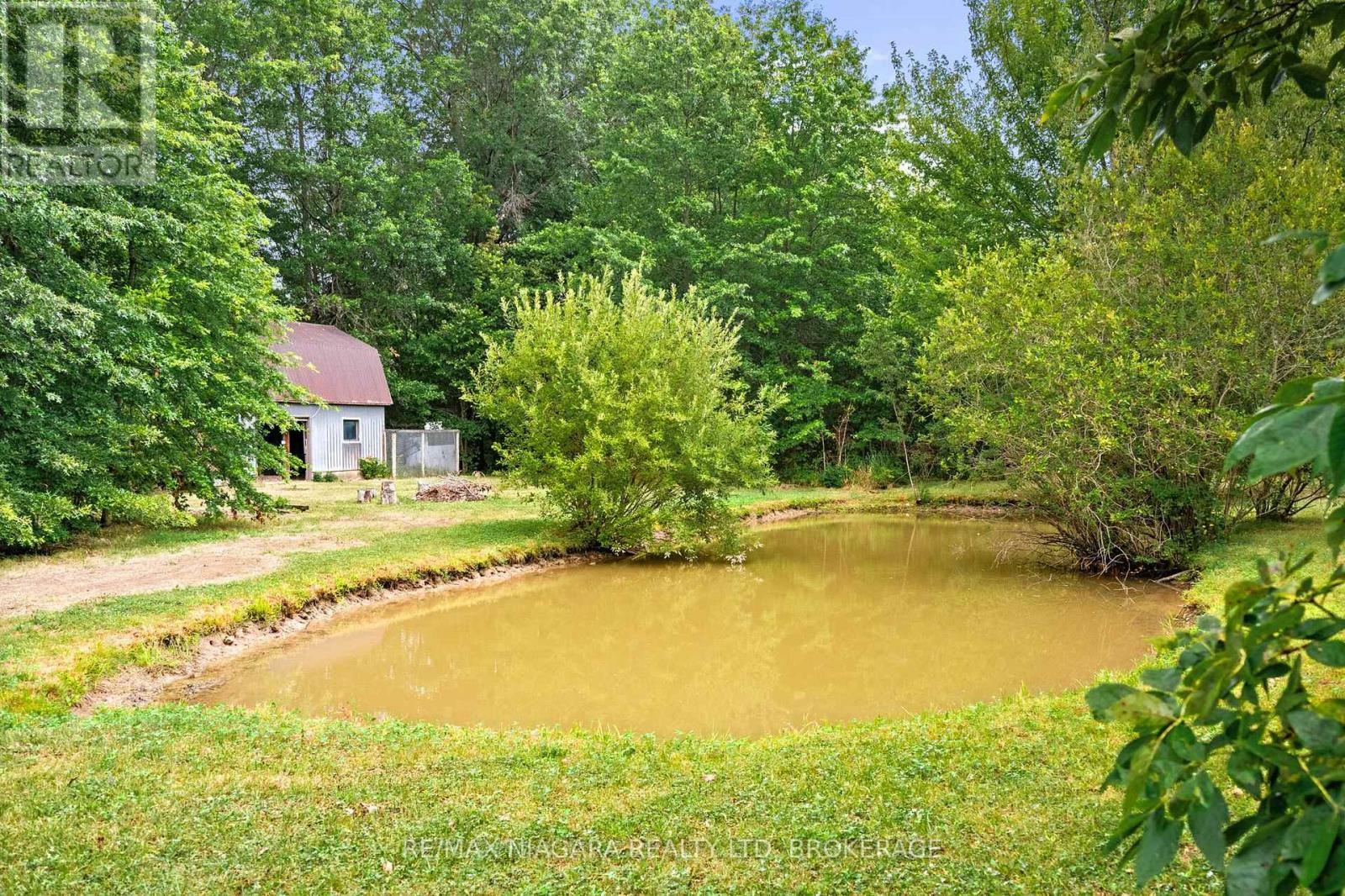 594 Doans Ridge Road, Welland, Ontario  L3B 5N7 - Photo 35 - X12914416