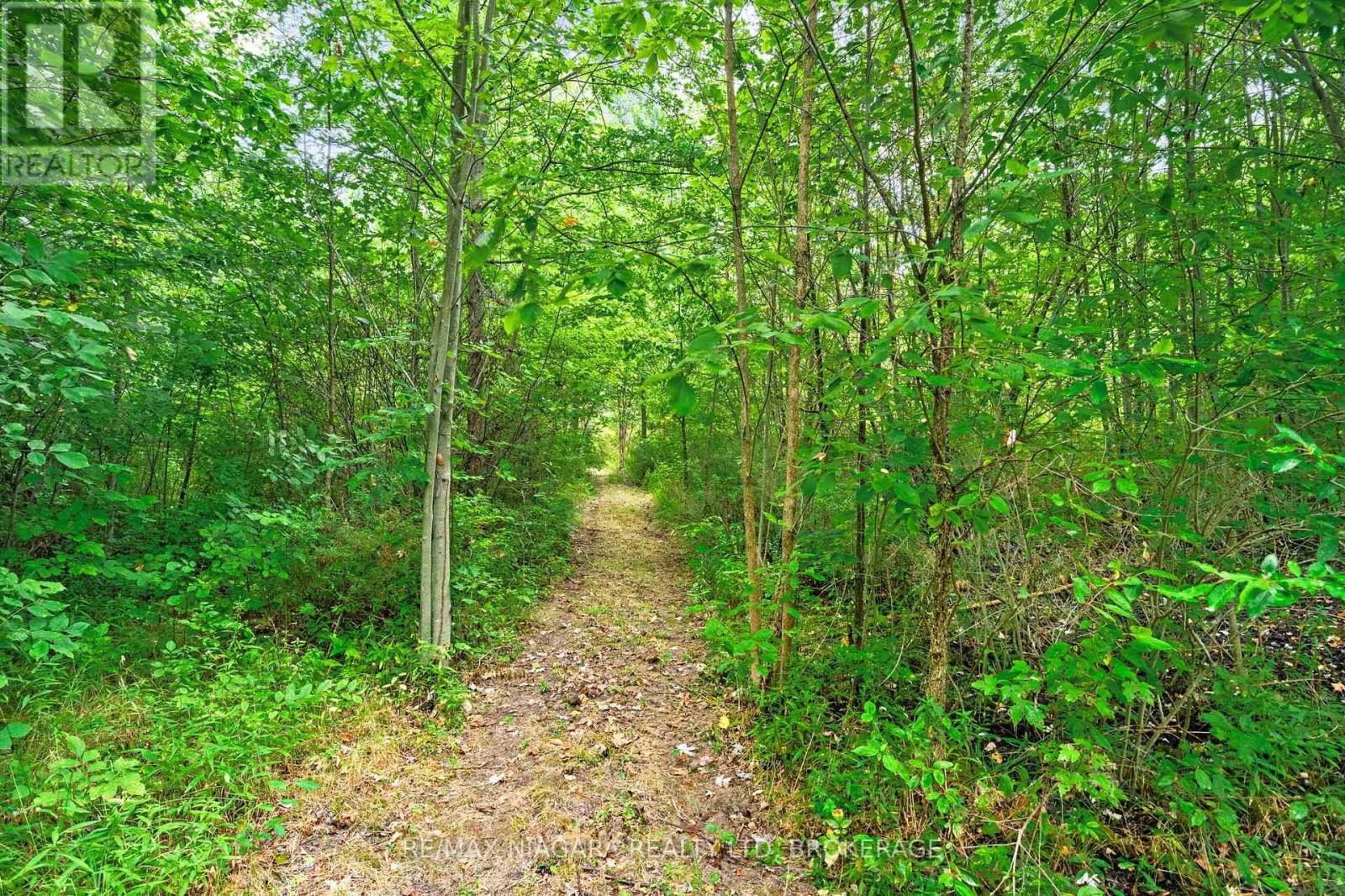 594 Doans Ridge Road, Welland, Ontario  L3B 5N7 - Photo 37 - X12914416