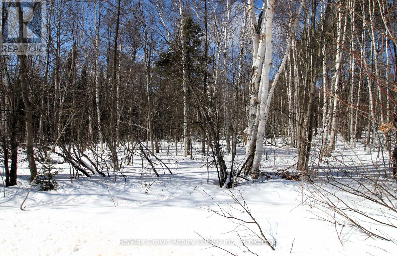 1737 Alsace Rd Bend, Nipissing, Ontario  P0H 1W0 - Photo 3 - X12914490