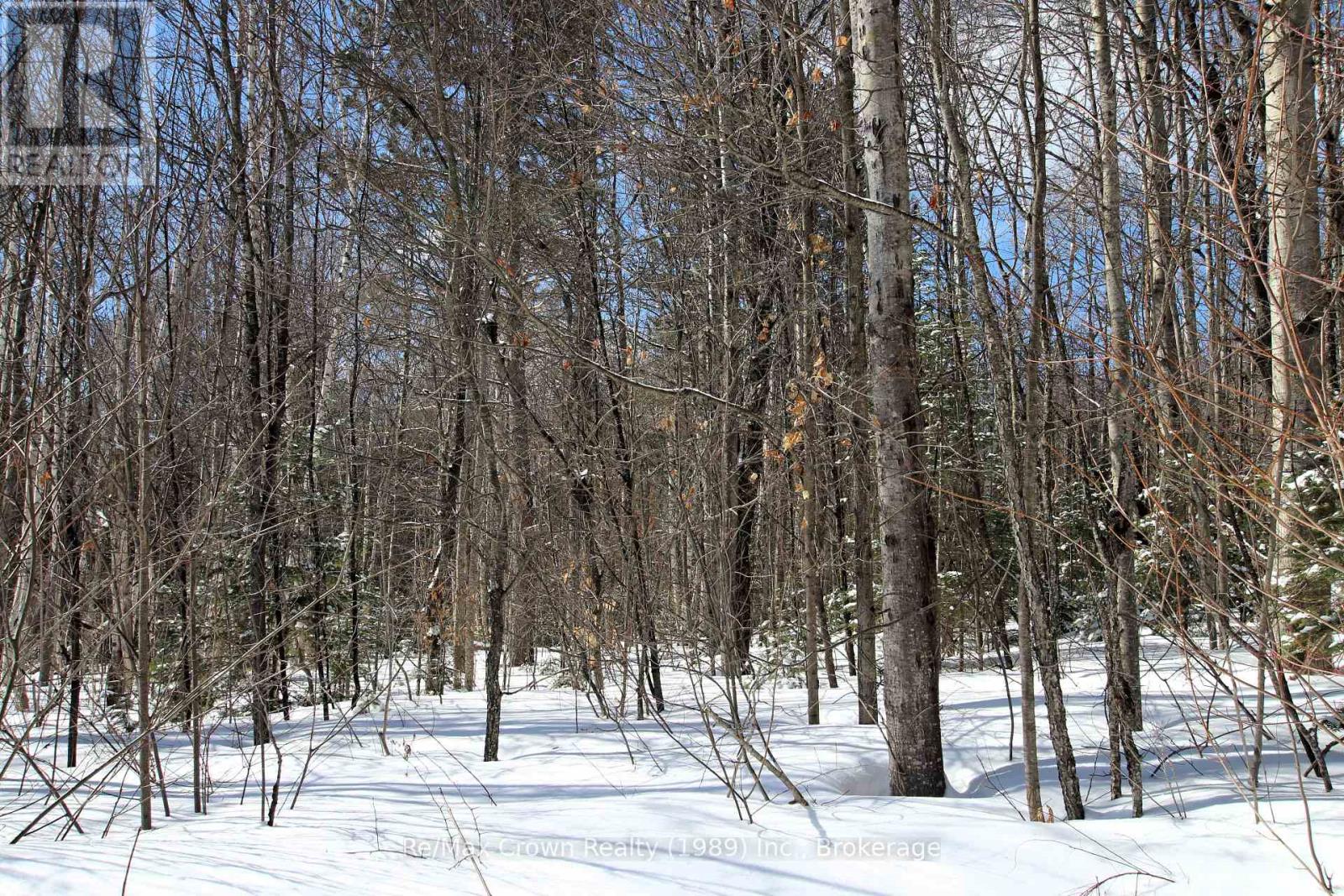 1737 Alsace Rd Bend, Nipissing, Ontario  P0H 1W0 - Photo 5 - X12914490