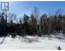 L 24&25 - 0 LOST NATION ROAD, Brudenell, Ontario