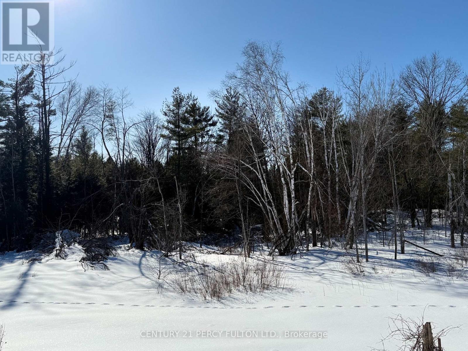 L 24&25 - 0 Lost Nation Road, Brudenell, Ontario  K0J 2E0 - Photo 49 - X12691902