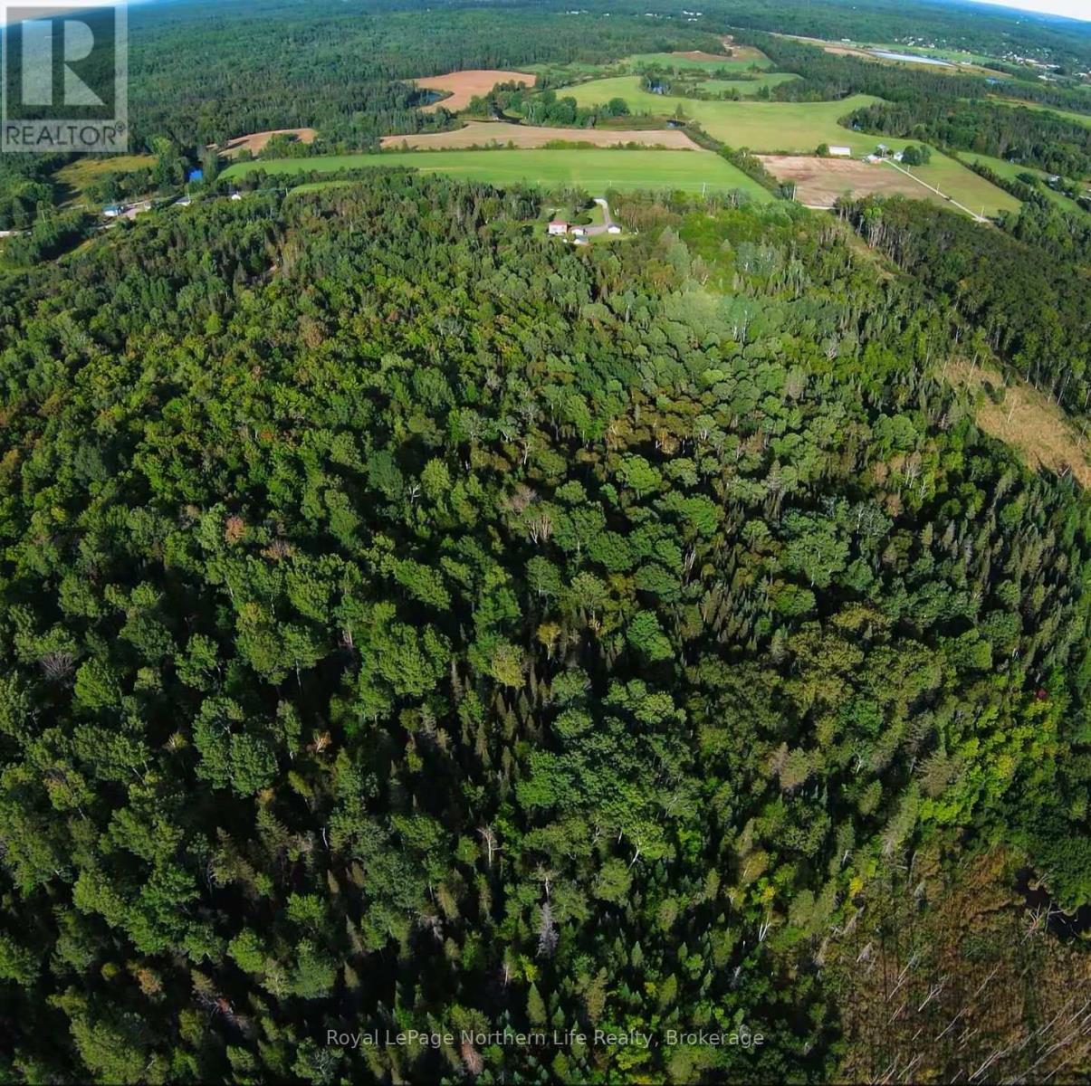 799 Maple Hill Road, Powassan, Ontario  P0H 1Z0 - Photo 3 - X12913324