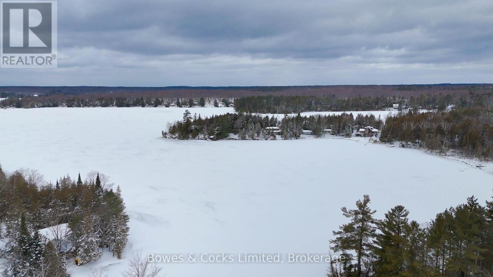 144 Blue Heron Lane, North Kawartha, Ontario  K0L 1A0 - Photo 39 - X12910896