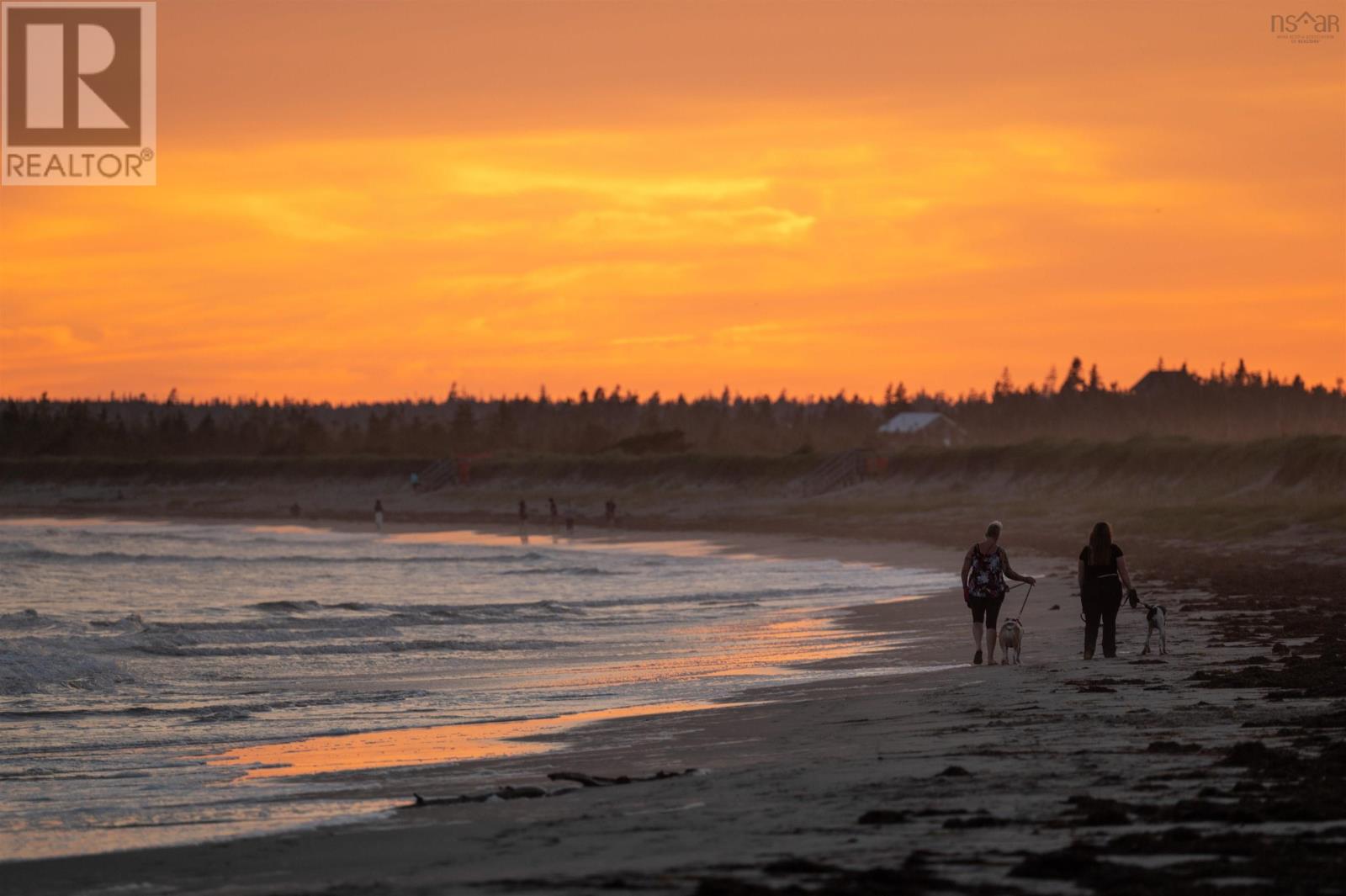 384 Owl Drive, East Petpeswick, Nova Scotia B0J 2L0 - Photo 16 - 202406963