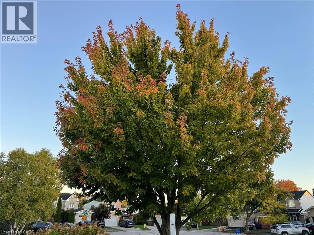 41 Yorkville Drive, Courtice, Ontario  L1E 2A7 - Photo 33 - 40810858