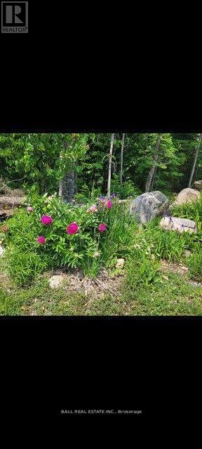 1854 The South Road, Wollaston, Ontario  K0L 1P0 - Photo 28 - X12914734