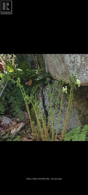 1854 The South Road, Wollaston, Ontario  K0L 1P0 - Photo 31 - X12914734