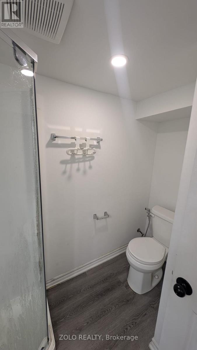 Lower / Basement - 285 West 31 Street, Hamilton, Ontario  L9C 5G5 - Photo 11 - X12770144