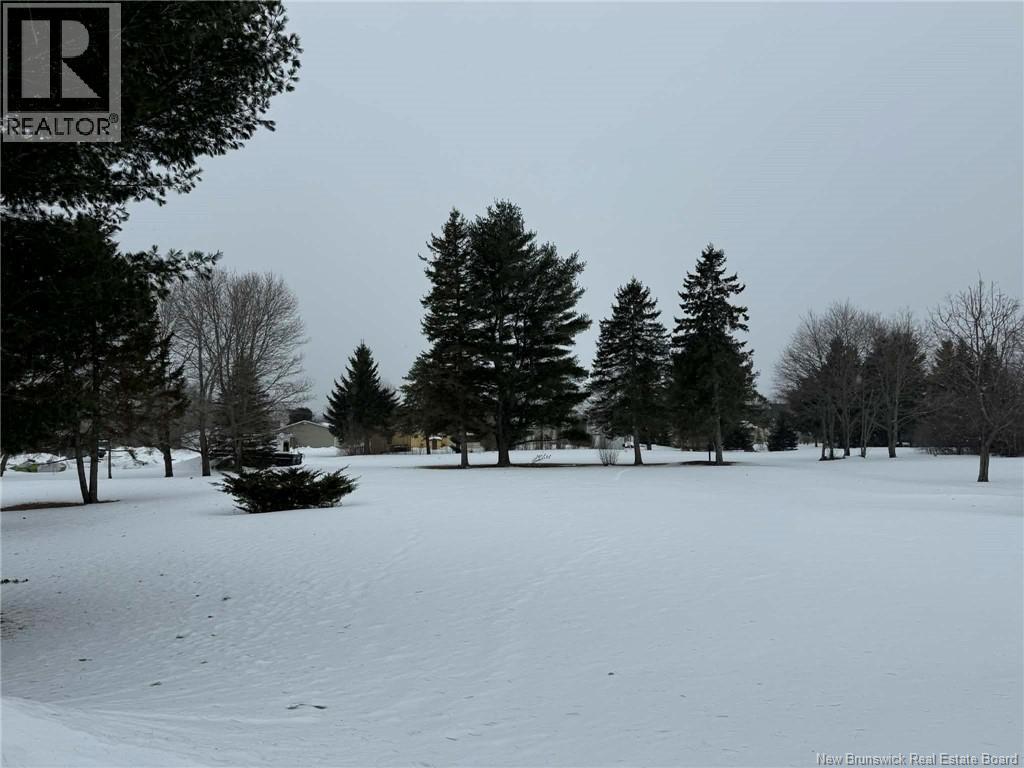 60 Mcintosh Street, Miramichi, New Brunswick E1N 2B3 - Photo 30 - NB134311