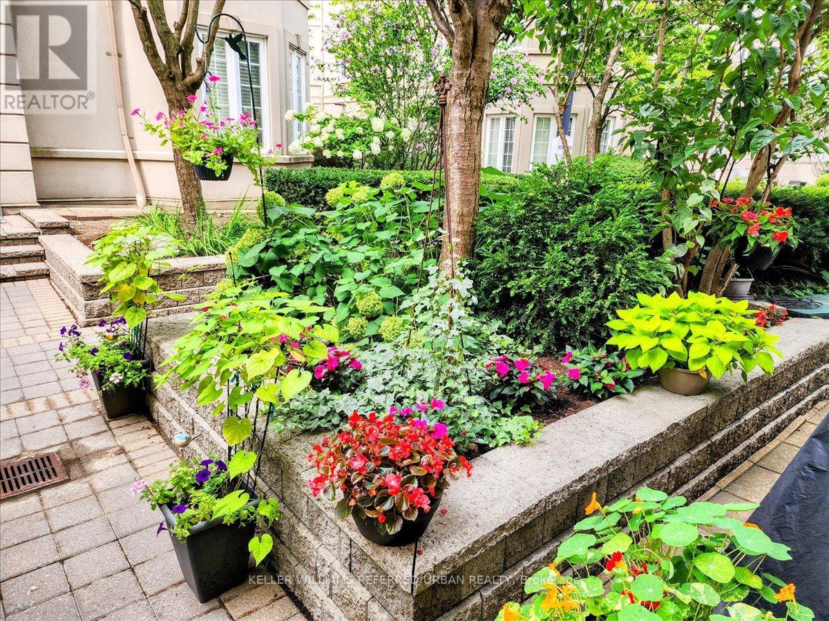 101 - 16 Humberstone Drive, Toronto, Ontario  M2N 7C1 - Photo 39 - C12914586