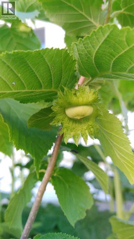 623 75 Avenue Sw, Calgary, Alberta  T2V 0S4 - Photo 43 - A2283337