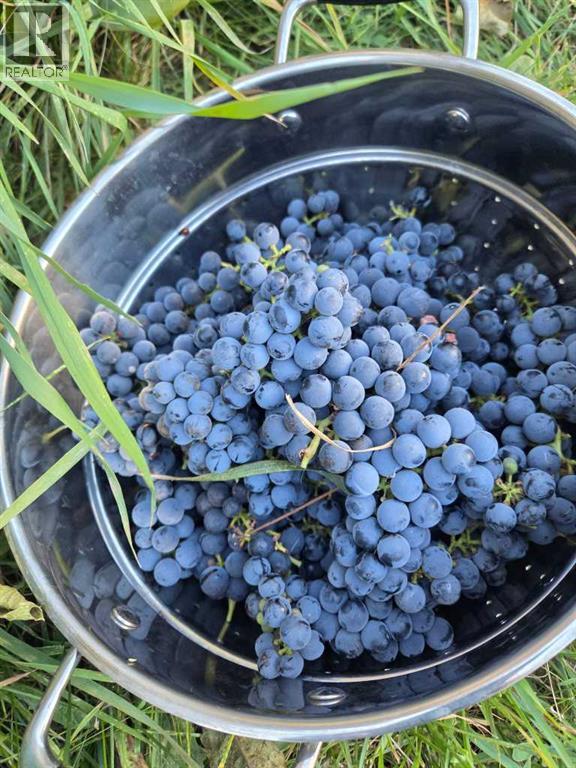 623 75 Avenue Sw, Calgary, Alberta  T2V 0S4 - Photo 36 - A2283337