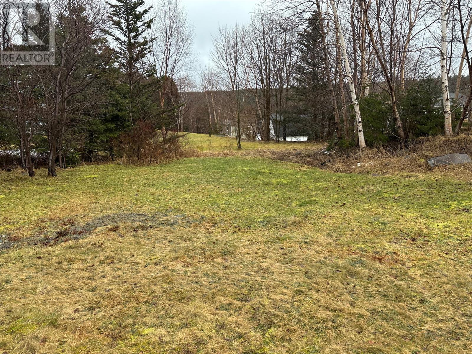 57 Marysvale Road, Marysvale, Newfoundland & Labrador  A0A 2Z0 - Photo 11 - 1295467