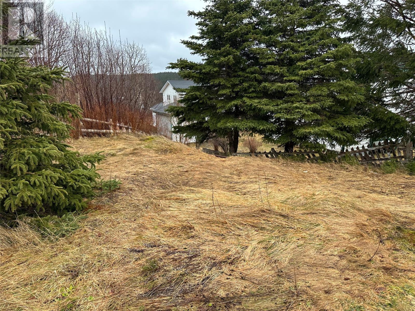 57 Marysvale Road, Marysvale, Newfoundland & Labrador  A0A 2Z0 - Photo 5 - 1295467