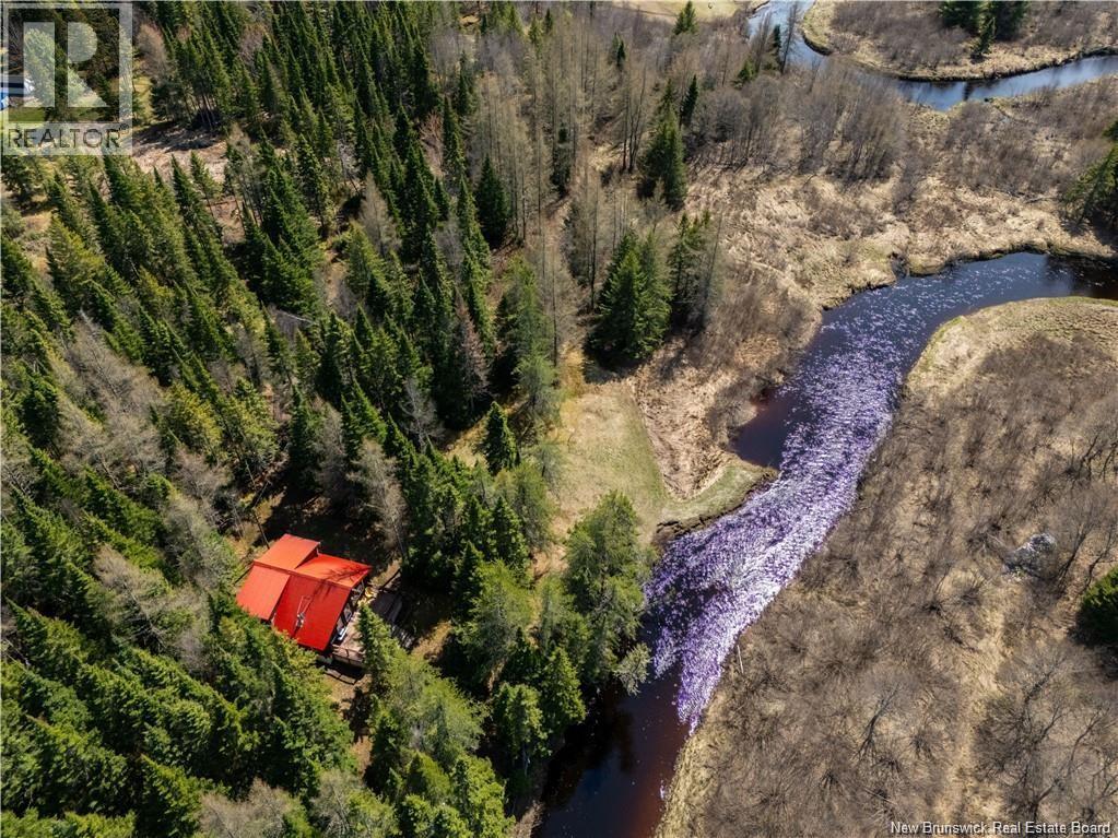 Fork Stream, Canaan, New Brunswick  E4Z 5Z3 - Photo 7 - NB135626