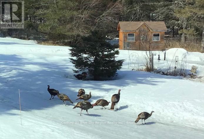 3837 Alsace Road, Nipissing, Ontario  P0H 0A3 - Photo 48 - X12914956