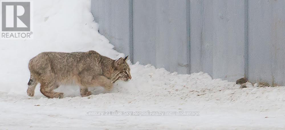 3837 Alsace Road, Nipissing, Ontario  P0H 0A3 - Photo 49 - X12914956