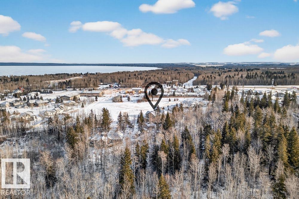 132 Heron Point Cl, Rural Wetaskiwin County, Alberta  T0C 2V0 - Photo 52 - E4478793