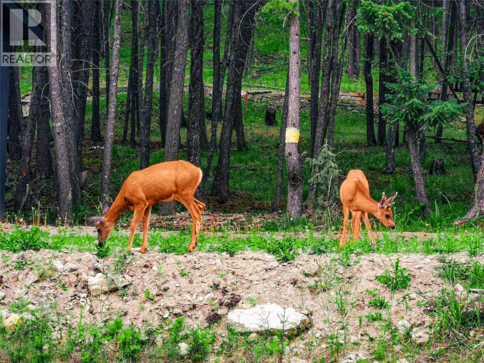9881 Osprey Landing Drive Lot# 21, Wardner, British Columbia  V0B 2J0 - Photo 59 - 10350868