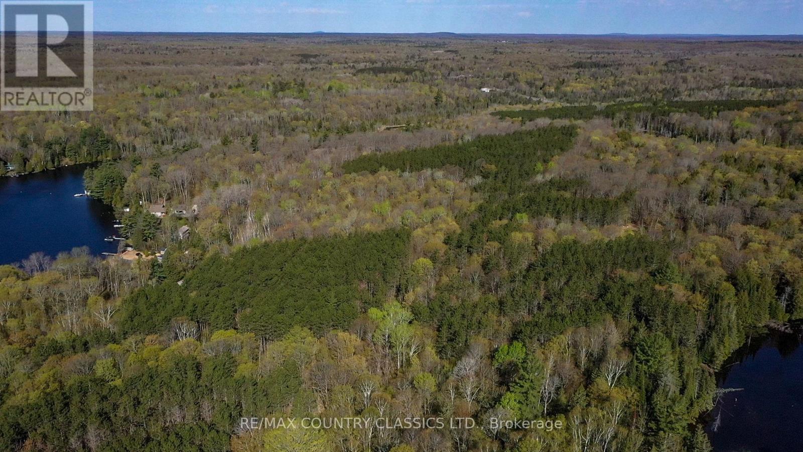 0 Trotter Oitment Road N, North Kawartha, Ontario  K0L 1A0 - Photo 10 - X12915076