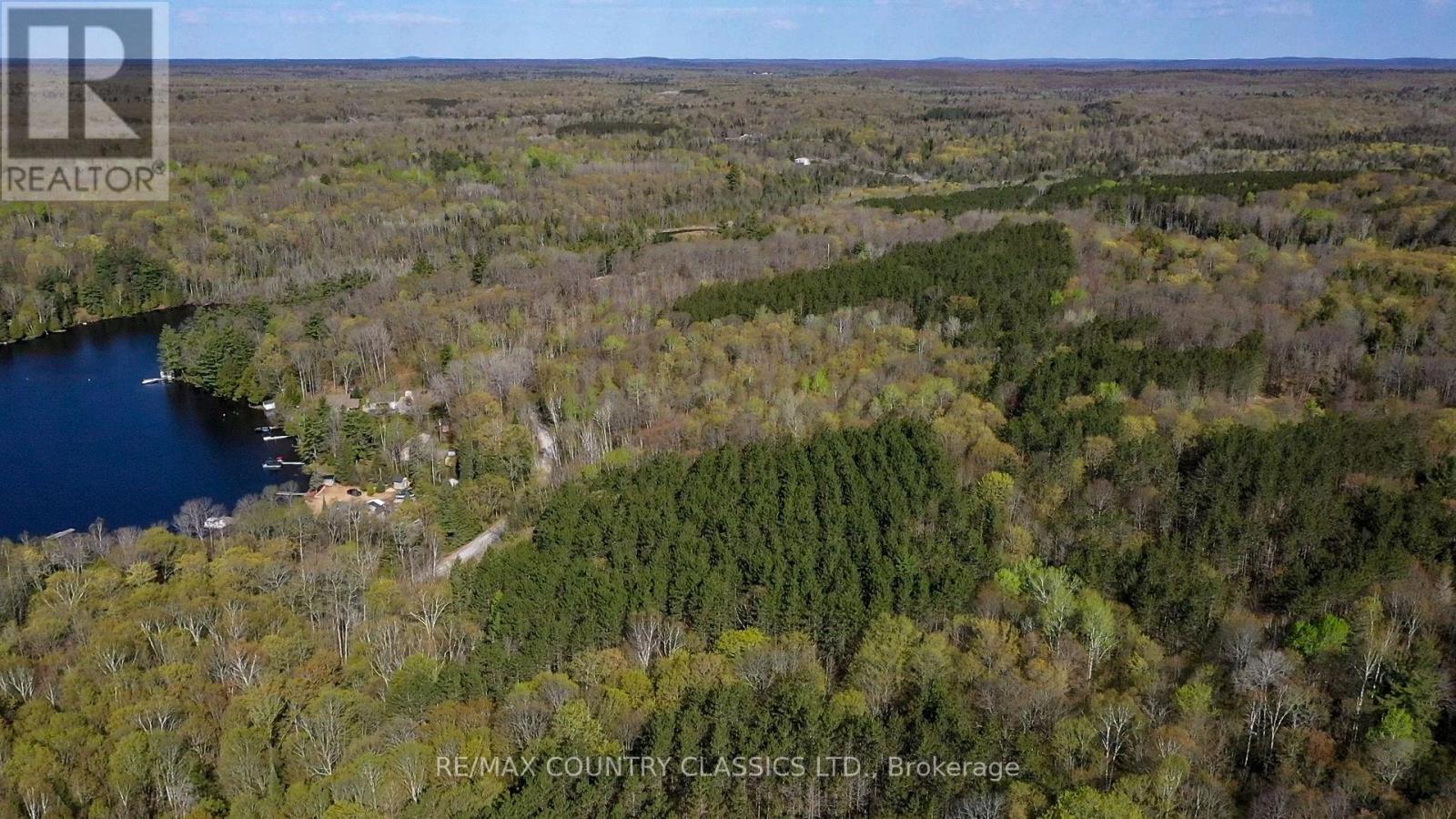 0 Trotter Oitment Road N, North Kawartha, Ontario  K0L 1A0 - Photo 11 - X12915076