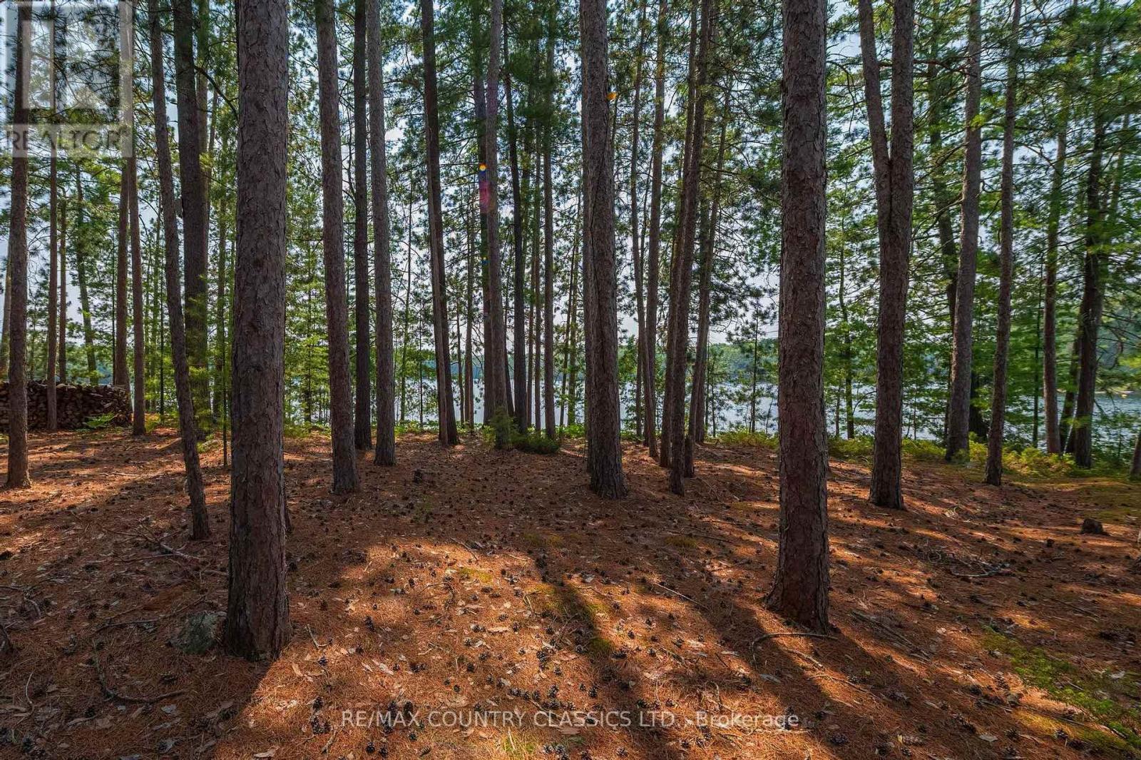 22 Chandos Lk Balmer Island, North Kawartha, Ontario  K0L 1A0 - Photo 38 - X12915080