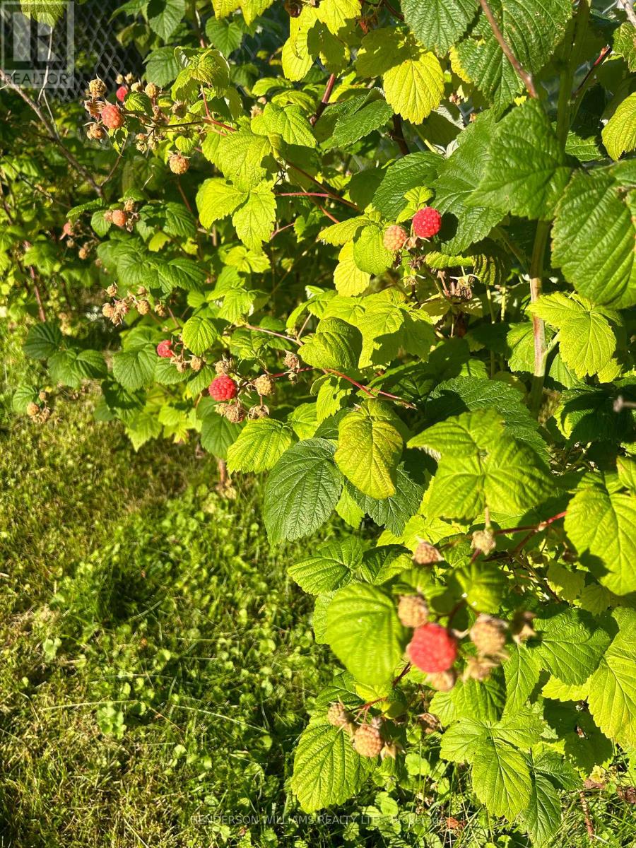 40 South Park Street N, Quinte West, Ontario  K0K 2C0 - Photo 39 - X12915250