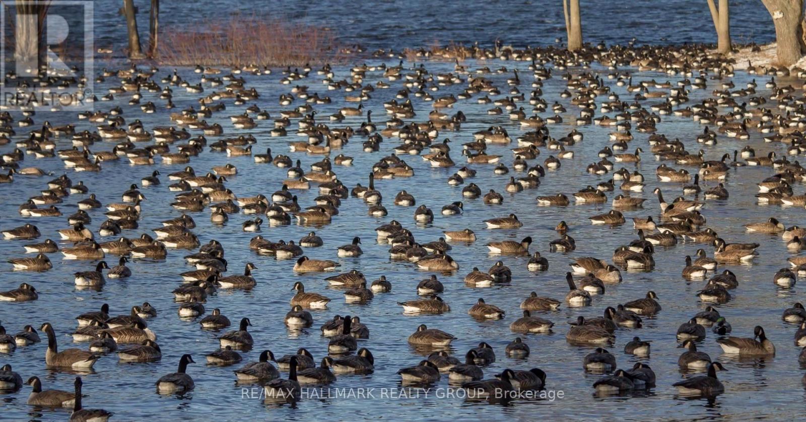 1236 Bayview Drive, Ottawa, Ontario  K0A 3M0 - Photo 33 - X12878588