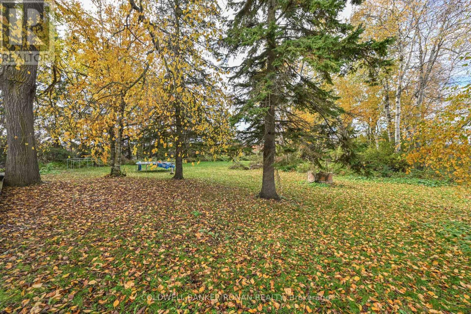 6336 Concession Road 7, Adjala-Tosorontio, Ontario  L0M 1J0 - Photo 31 - N12915248