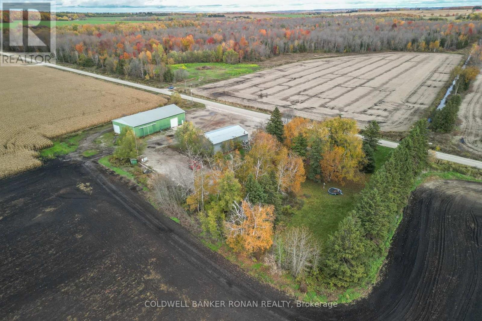 6336 Concession Road 7, Adjala-Tosorontio, Ontario  L0M 1J0 - Photo 35 - N12915248