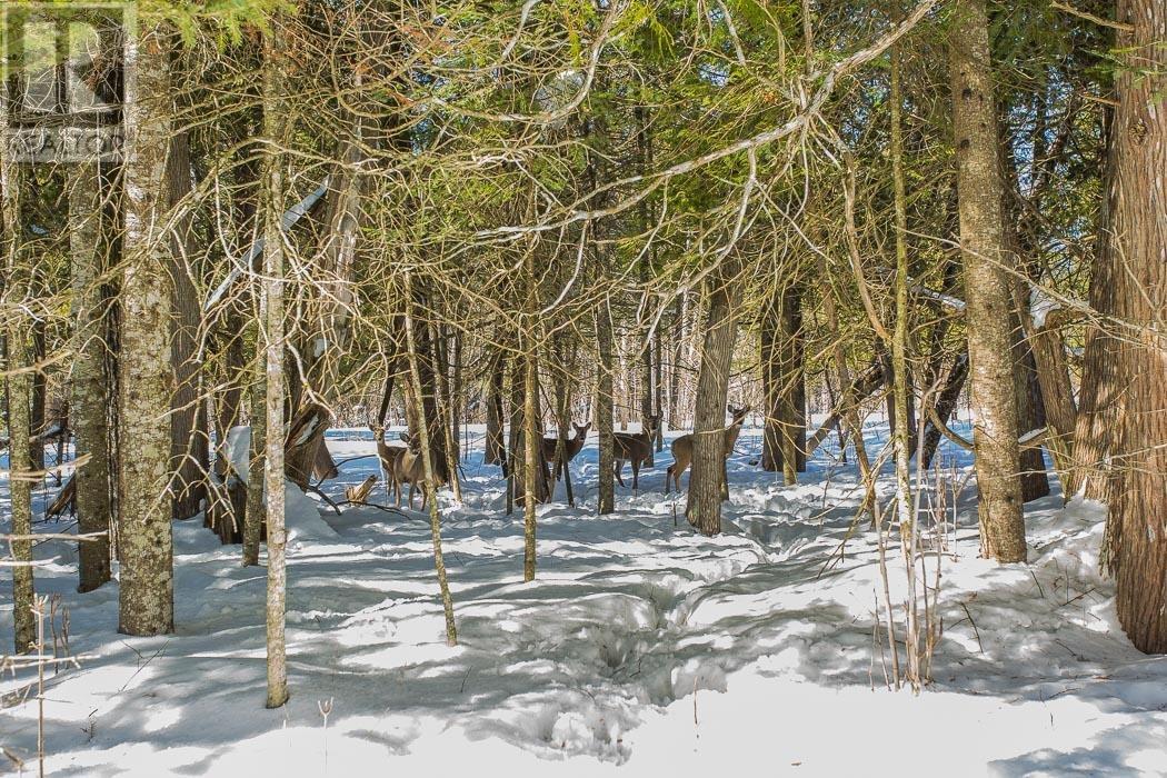 3515 Huron Line Rd, Jocelyn Township, Richards Landing, Ontario  P0R 1J0 - Photo 45 - SM260442