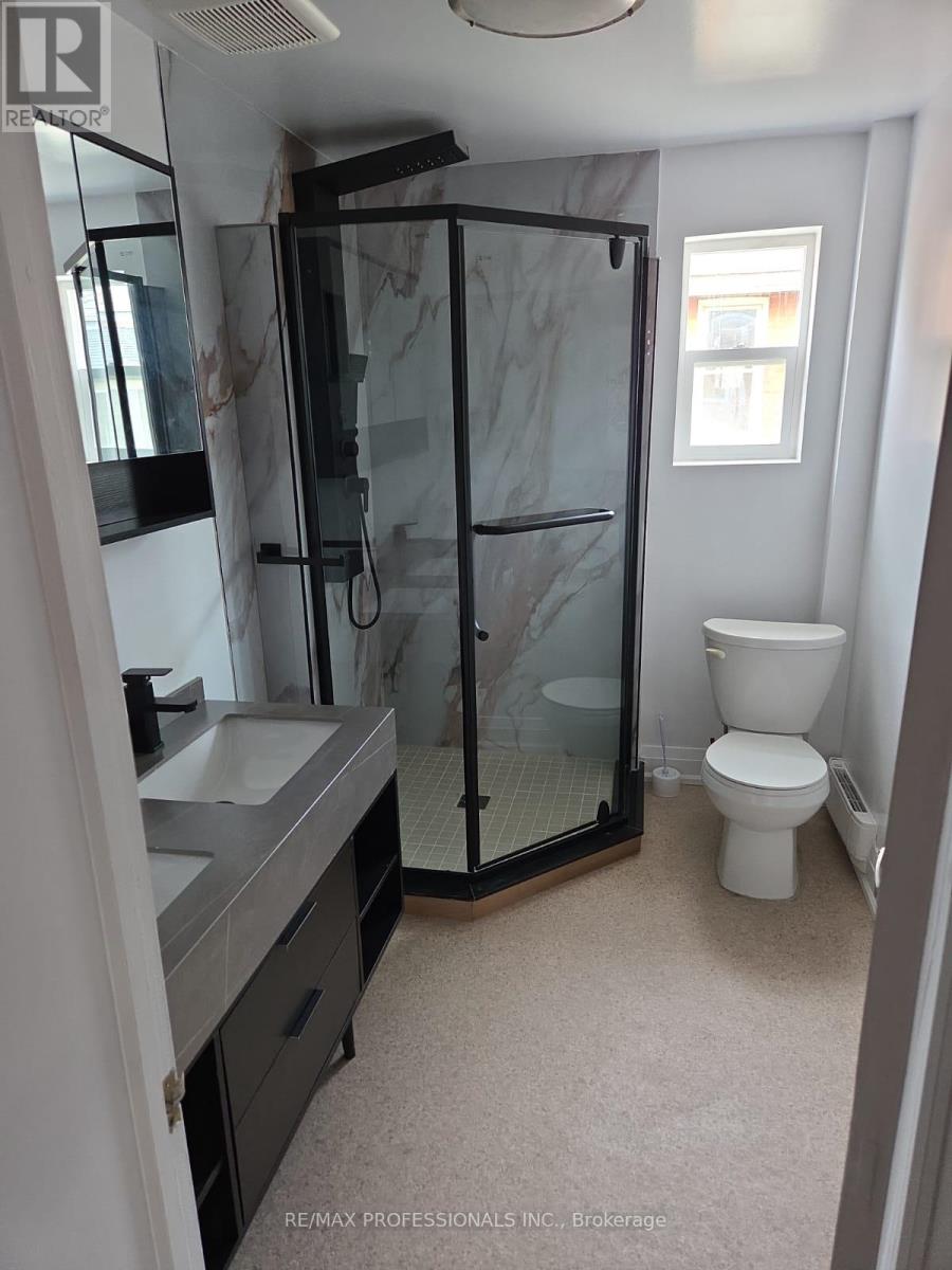 29 Nelson Street, Brant, Ontario  L0R 2H6 - Photo 49 - X12915164