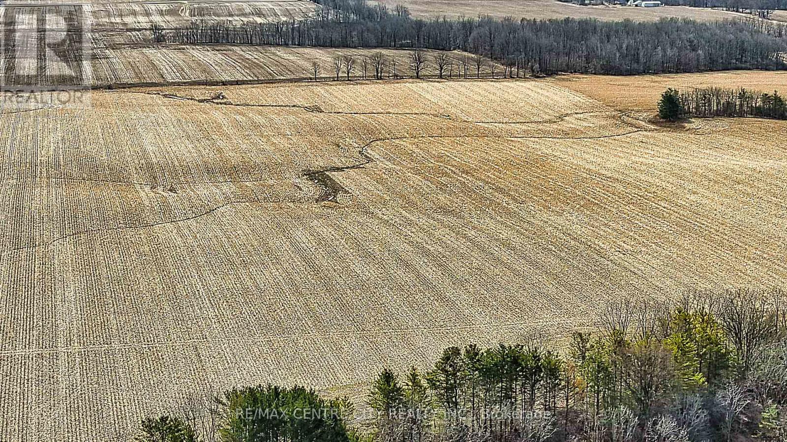 . Mcdiarmid Line, Southwold, Ontario  N0L 2E0 - Photo 25 - X12915342