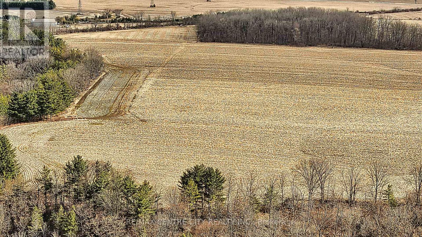 . Mcdiarmid Line, Southwold, Ontario  N0L 2E0 - Photo 30 - X12915342