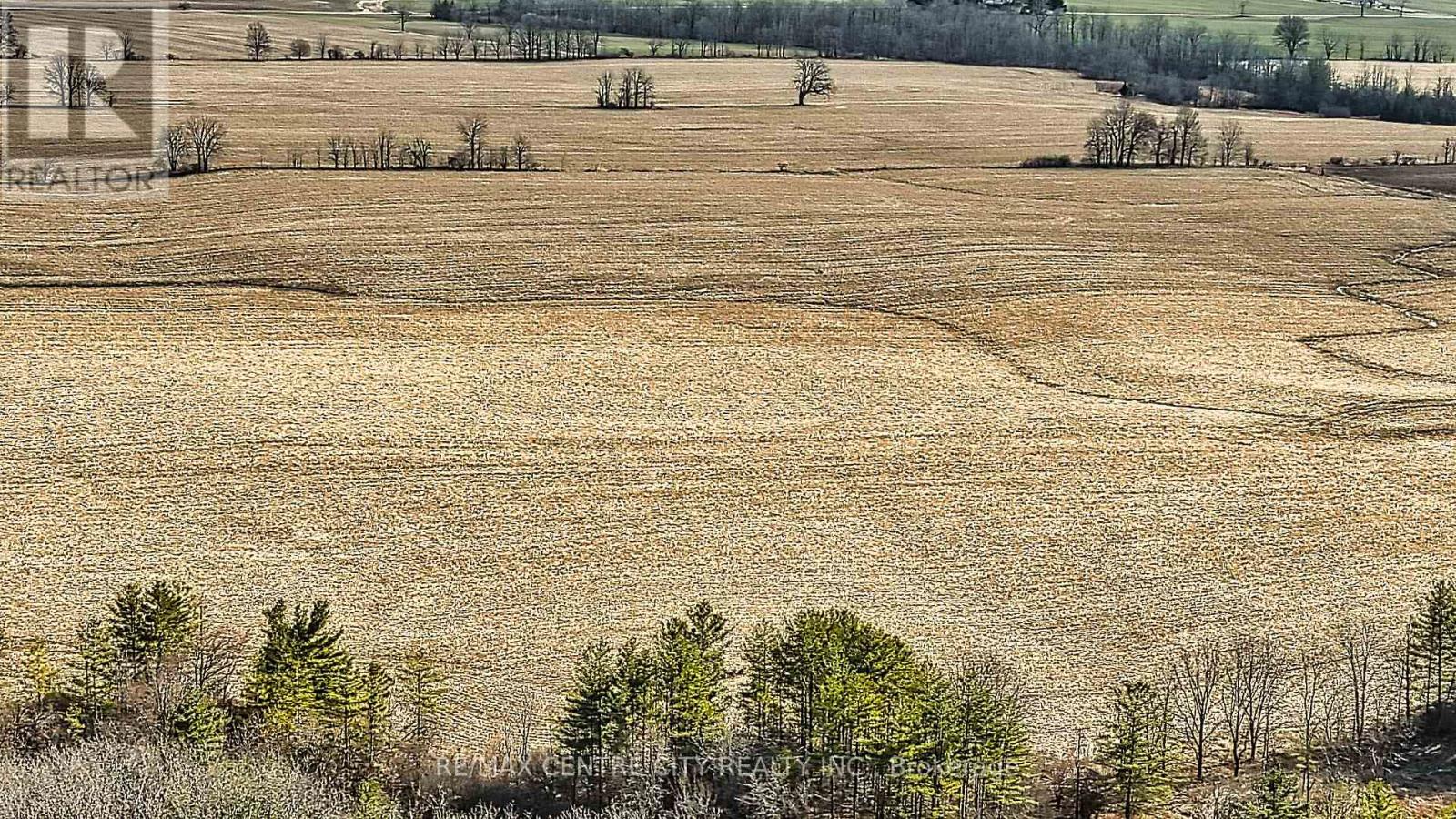 . Mcdiarmid Line, Southwold, Ontario  N0L 2E0 - Photo 31 - X12915342