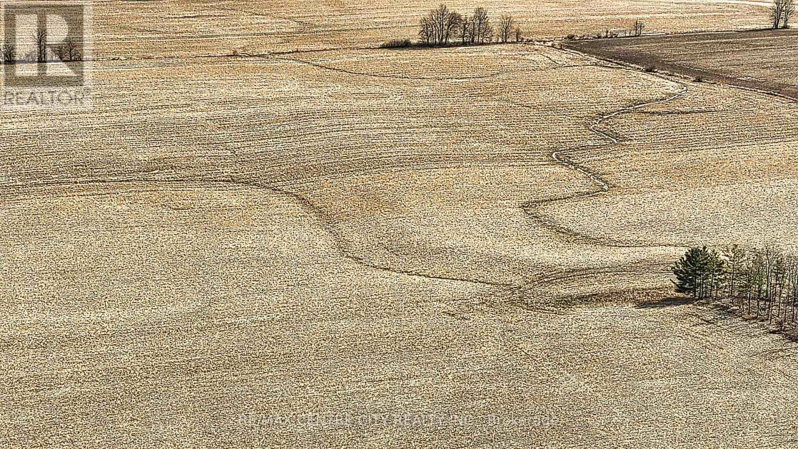 . Mcdiarmid Line, Southwold, Ontario  N0L 2E0 - Photo 37 - X12915342