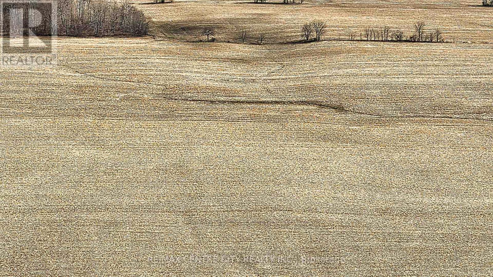 . Mcdiarmid Line, Southwold, Ontario  N0L 2E0 - Photo 38 - X12915342