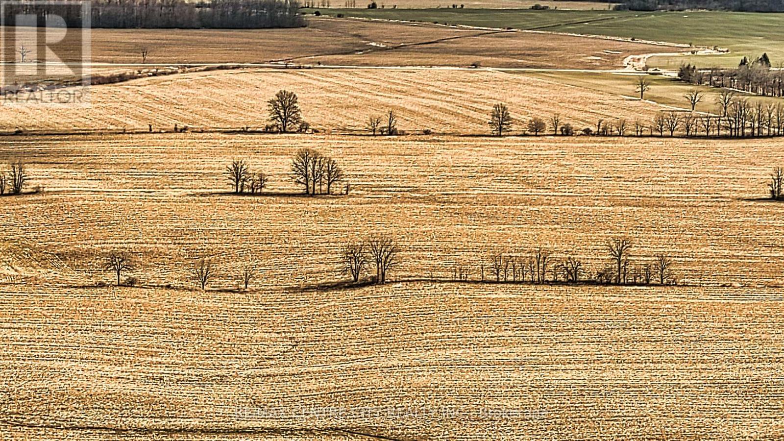 . Mcdiarmid Line, Southwold, Ontario  N0L 2E0 - Photo 40 - X12915342