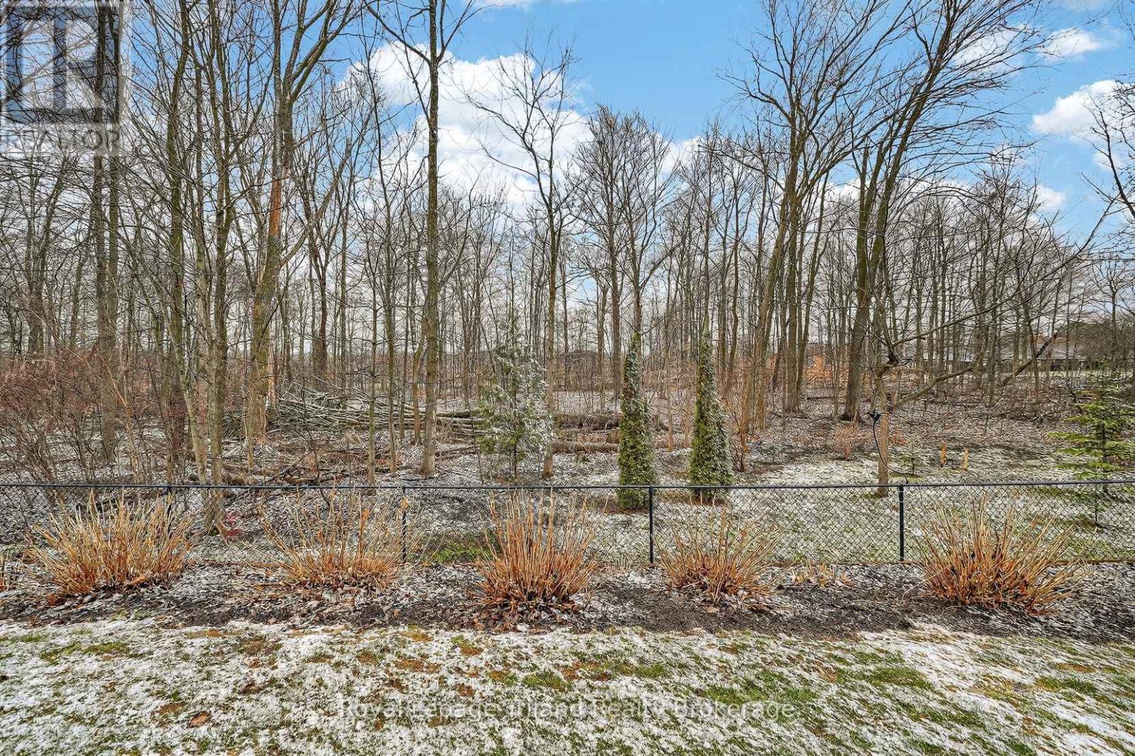 46 Colin Avenue, Tillsonburg, Ontario  N4G 0E5 - Photo 46 - X12915392