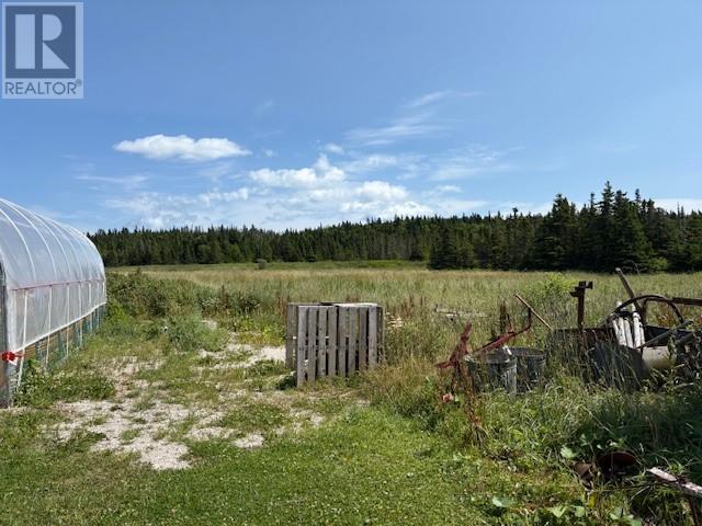 54 Main Road, Piccadilly, Newfoundland & Labrador  A0N 1T0 - Photo 10 - 1288336