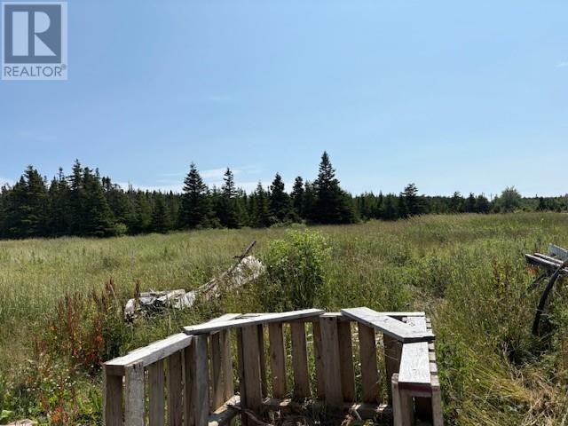 54 Main Road, Piccadilly, Newfoundland & Labrador  A0N 1T0 - Photo 11 - 1288336