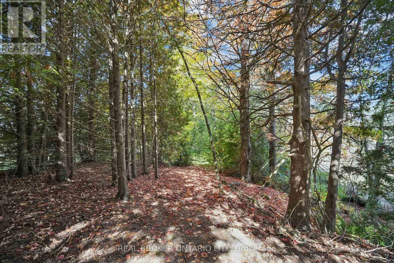 8941 Wellington Rd 50, Erin, Ontario  L7J 2L8 - Photo 46 - X12829042