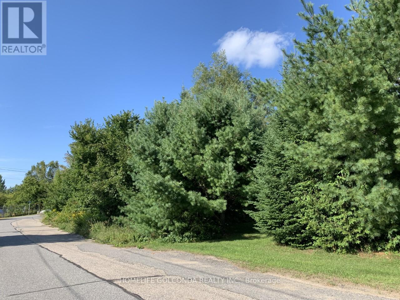 195 Nelson Street, Gravenhurst, Ontario  P1P 1K7 - Photo 6 - X12862382