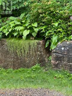 23 - 52 Adelade Street, Barrie (Allandale), Ontario  L4N 3T5 - Photo 43 - S12915380