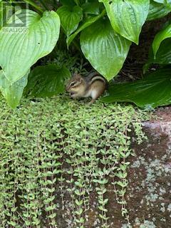 23 - 52 Adelade Street, Barrie (Allandale), Ontario  L4N 3T5 - Photo 44 - S12915380