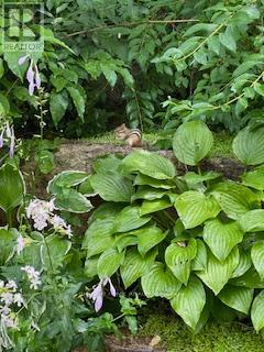 23 - 52 Adelade Street, Barrie (Allandale), Ontario  L4N 3T5 - Photo 45 - S12915380